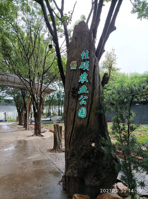 广州番禺海鸥岛