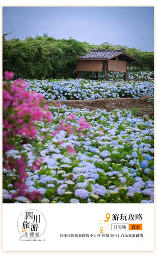 成都周边的亲子游踏青地！打卡治愈系“世外桃源”，还有上百亩花海，亲子拍照超nice~