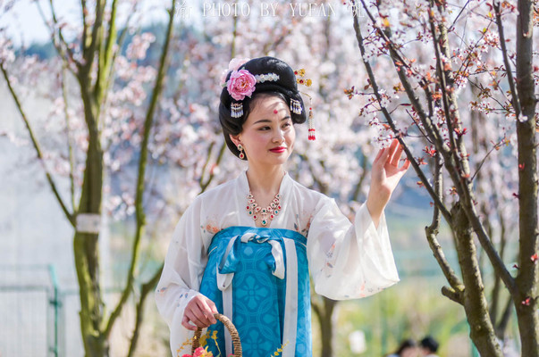 重庆有处免费开放的鲜花隧道,可惜知道的人不多,周末可以约起来