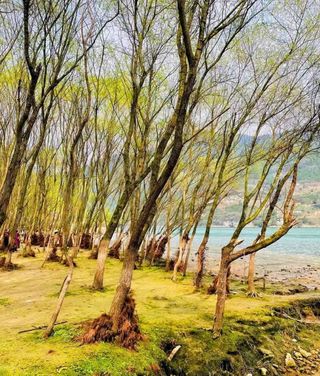 宜昌春游户外自驾好去处“洱海”难怪这么火,还有烧烤踏青