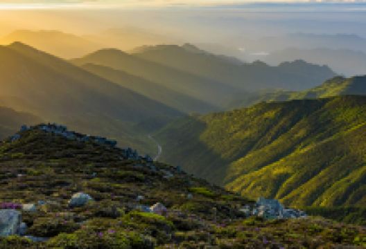 太白山国家森林公园-大文公庙景点图片