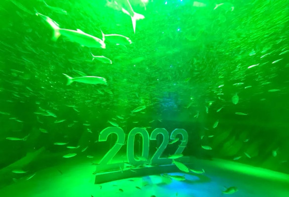 海昌海洋公园开了！酒店也开了！