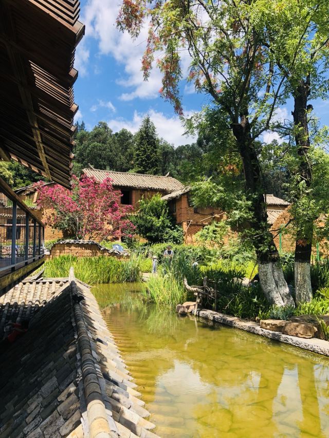 昆明卧龙古渔村旅行图片 3