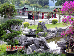 鼎湖山景区/肇庆东站游记图片] 吾乐行的世界——行走于广东的花花世界