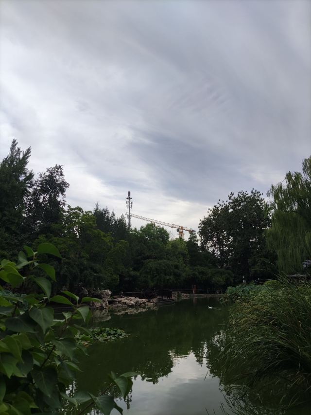 宣武艺园旅行图片 15