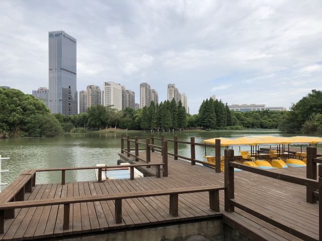艾溪湖森林湿地公园旅行图片 4