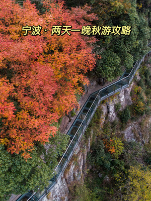 周末去哪玩？不出宁波两天一夜秋游攻略，绝美秋景出发正当时