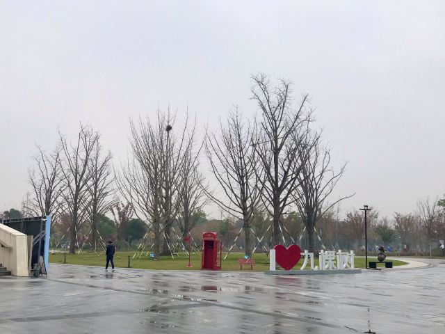九棵树艺术公园旅行图片 1