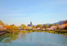 浙江大学(西溪校区)景点图片
