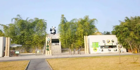 國際竹藝城景區-熊貓館