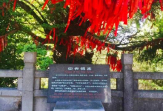 紫溪山风景区景点图片