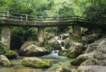 青城后山+熊猫基地一日游2-8人专车团/含门票/三环内接送【[优势亮点]:私家团、ViP 包车一单一团含景区门票，不拼车，专车专用】