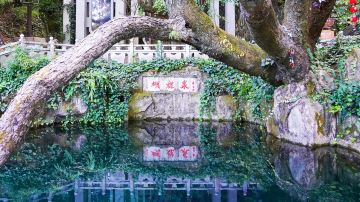 蝴蝶泉