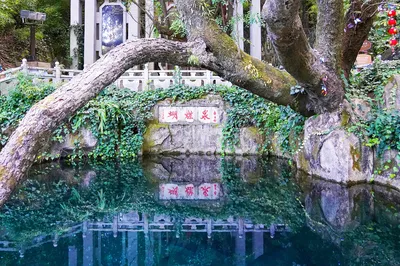 蝴蝶泉