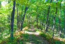 LaBudde Creek Fishery Area景点图片