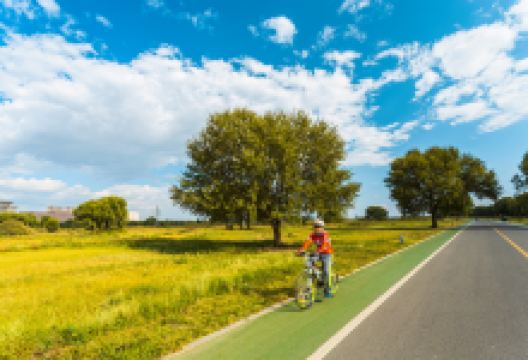 赛汗塔拉城中草原景点图片