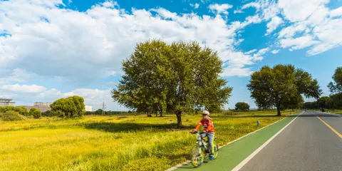 賽汗塔拉城中草原