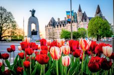 国家战争纪念碑-渥太华