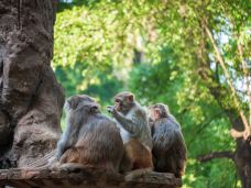 南宁动物园-南宁