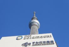 墨田水族馆景点图片