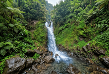 Ciherang Waterfall景点图片