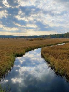 七星湖湿地公园-围场-冬日暖阳