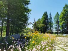 苏州太湖国家湿地公园-苏州-YoYo_4G7M3Q7D