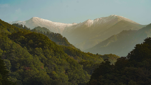 赏秋正当时,漫山红遍,层林尽染,黄柏塬处处都是风光大片