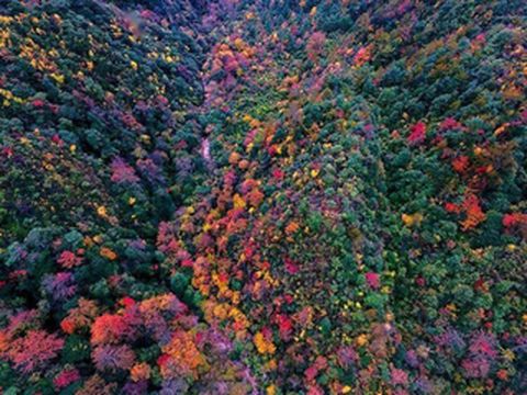 徒步湖南最高峰酃峰,看五彩谷最美景色!