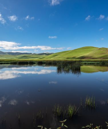 3D2N • China + Inner Mongolia + Saihanba National Forest Park + Wulanbutong Steppe Tourist Area