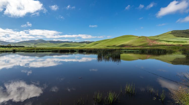 3-day 2-night · Private Tour · China + Inner Mongolia + Beijing + Saihanba National Forest Park + Wulanbutong Steppe Tourist Area