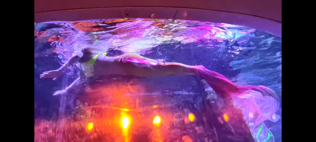 荣誉·梵尔纳美人鱼自助餐厅11