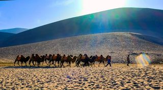 徐海平：鸣沙山下月牙泉