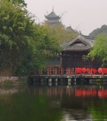 双流区游记图文-“蜀地独垂名”的四川双流海棠花