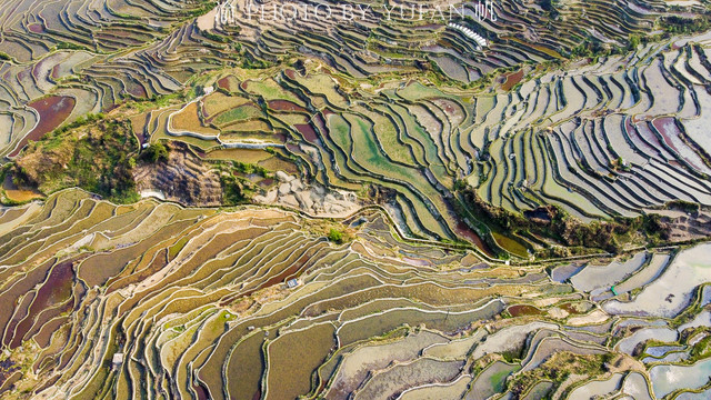 自驾旅行中最担心的事情还是发生了,也折射出元阳梯田的管理问题