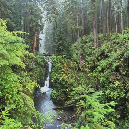 西雅图+奥林匹克国家公园2日1晚私家团