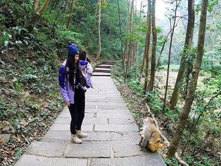 山在那里等你|世界唯一的张家界地貌,看山看猴看蘑菇
