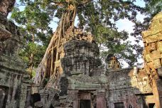 Ta Prohm寺庙-Tonle Bati
