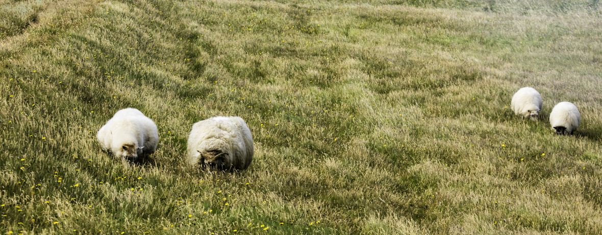 2024年新巴尔虎右旗旅游攻略,8月新巴尔虎右旗自助游/自驾/出游/自由行/游玩攻略[携程攻略]