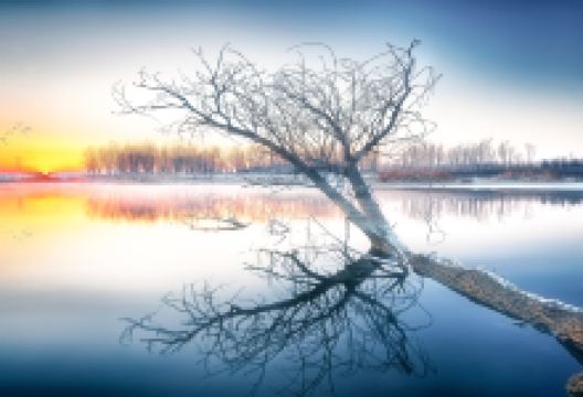 固城湖景点图片