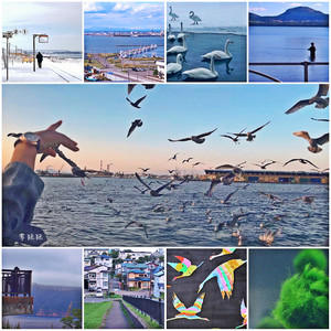 钏路市游记图文-北海道钏路： 鹤群飞舞球藻沉吟 古老部族的图腾神秘了阿寒湖