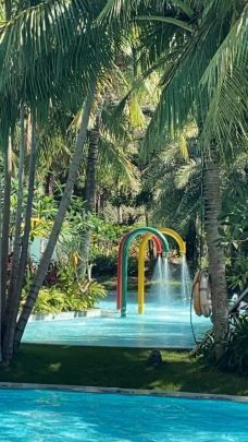 七色土-毛里求斯-Lavender and Sun