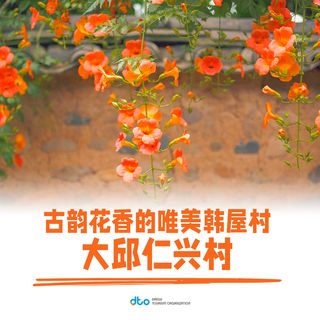 【游玩in大邱】古韵花香的唯美韩屋村