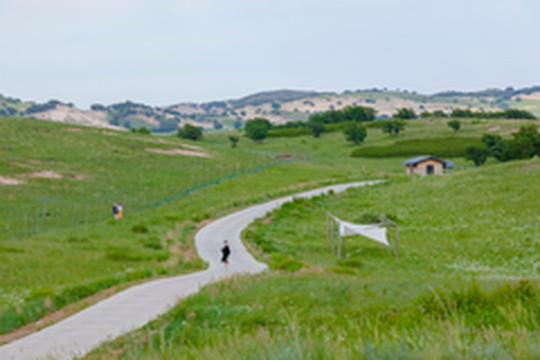 克什克腾旗游记图片] 走进内蒙古大草原深处，找一处小众静谧的草原