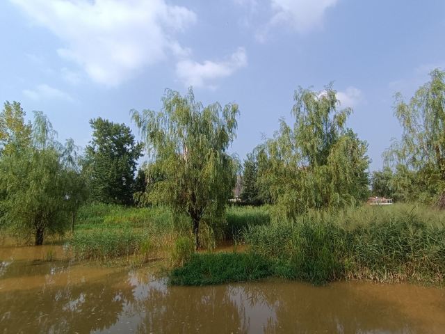 长安城市公园(樊川公园)旅行图片 1