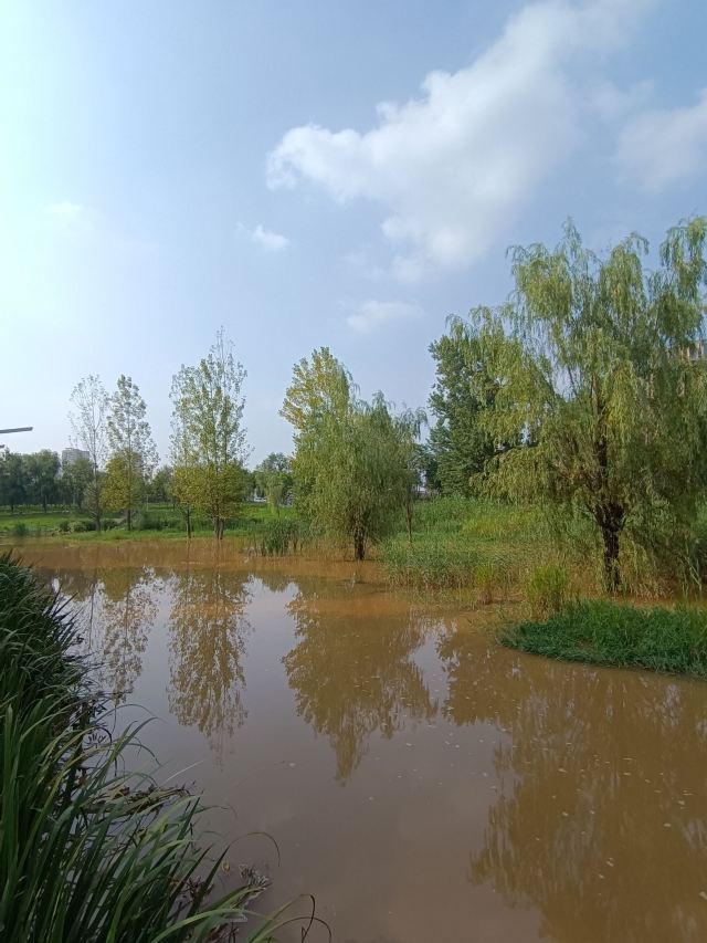 长安城市公园(樊川公园)旅行图片 3