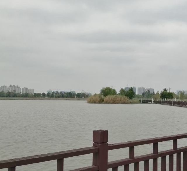 柳湖沙月沙滩公园旅行图片 3