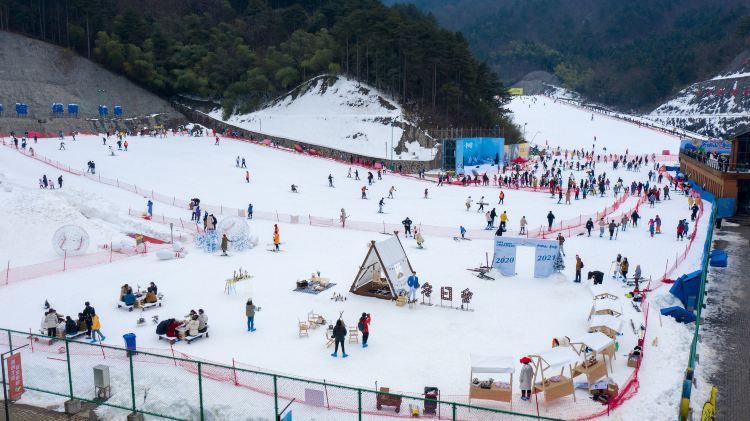 华体会- 华体会体育官方网站- 华体会体育APP下载迈开腿让我看下视频