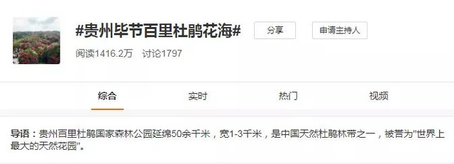 乡游黔中·百里杜鹃 桥头社区丨这一个绝美村庄,藏身杜鹃花海中