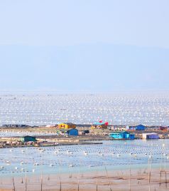 下浒镇游记图文-海上村庄：海枯石烂的遭遇